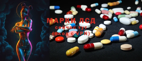 индика Магадан