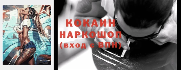 индика Магадан