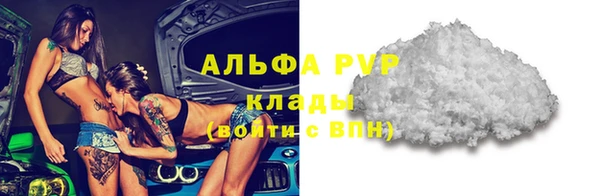 индика Магадан
