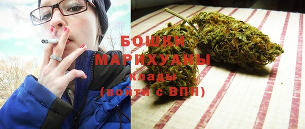 индика Магадан