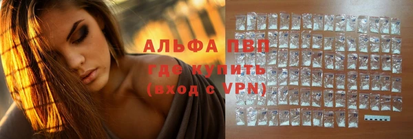индика Магадан